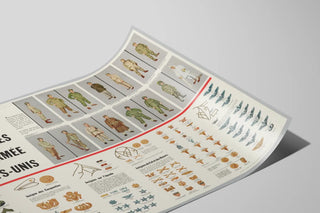Muurschilderingdecoratieposter - Uniformen en insignes van het Amerikaanse leger — weergave van het kunstwerk