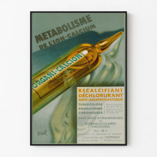 metabolisme-de-lion-calcium