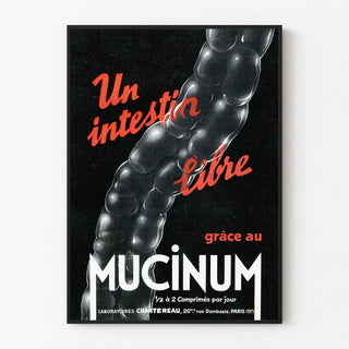 mucinum-3