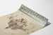 Vintage poster van Norges Skiforbund Elverum 1920