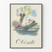 Vintage poster Obesitas illustratie kanoën