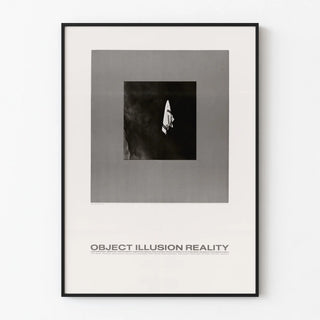 object-illusion-reality