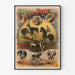 Vintage Poster Brothers Rasso Modern Gladiators