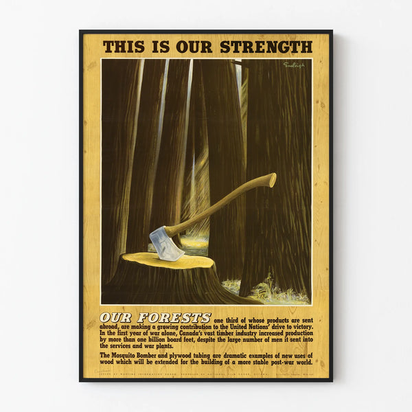 our-forests-this-is-our-strength