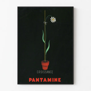 pantamine-2