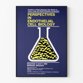 perspectives-in-endothelial-cell-biology