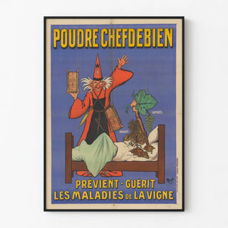 poudre-chefdebien-previent-guerit-les-maladies-de-la-vigne