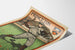 Vintage Princeton poster van een honkbalspeler