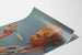 Vintage reclameposter macaroni Rivoire & Carret