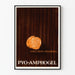 Vintage medisch poster PYO-AMPHOGEL Pyogene infecties