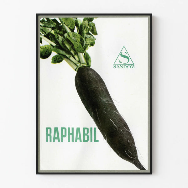 Vintage poster van zwarte radijs Raphabil Sandoz voor muurdecoratie