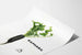 Decoratieve poster Raphabil - Zwarte radijs en groene bladgroei