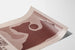 Retro poster studies microsomen 1967 voor muurdecoratie