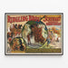 Vintage poster Ringling Bros Schuman's German Horse Circus 1909 — framed artwork on a wall