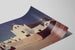 Laguna Mission Poster, New Mexico - Traditional Architecture 1699 — artwork view