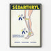 Vintage poster Sédarthryl voor gewrichtsverlichting
