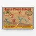 Vintage poster Sells Floto Circus - The Flying Wards with Miss Mamie Ward — framed artwork on a wall