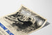 Vintage maritieme veiligheidsposter "Someone Talked"