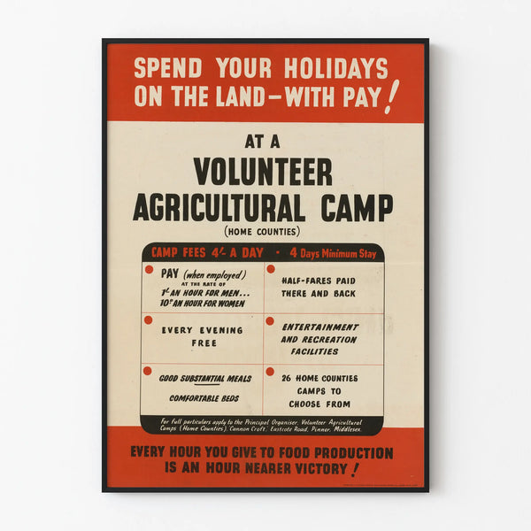 spend-your-holidays-on-the-land-with-pay-at-a-volunteer-agricultural-camp