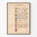 Vintage Geologische en Fossiele Chronologische Schilderij