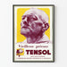 Vintage reclameposter Tensol voor de bestrijding van vroegtijdige veroudering
