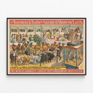 the-barnum-and-bailey-greatest-show-on-earth-a-glance-at-the-great-ethnological-congress-and-curious-led-animals