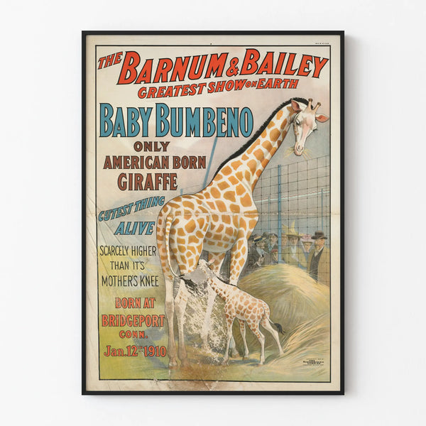 the-barnum-bailey-greatest-show-on-earth-baby-bumbeno-only-american-born-giraffe-cutest-thing-alive