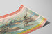 Vintage Barnum & Bailey Poster - American Fleet and Naval Maneuvers — artwork view