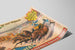 Vintage poster of Roman chariot race Sells Brothers — artwork view