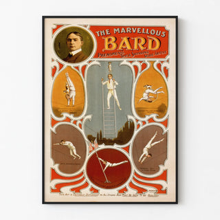 the-marvellous-bard-phenomenal-trick-swinging-wire-artist