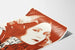 Vintage poster Greta Garbo - Het mysterieuze dame