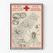 Educatief Poster Vintage - Levenscyclus van de Vlieg door de Zuid-Afrikaanse Rode Kruisvereniging