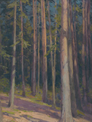 udovt ordk - Fir forest.webp