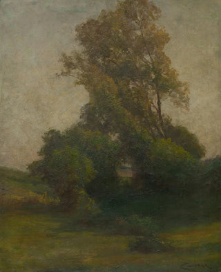 udovt ordk - Tree in the countryside.webp