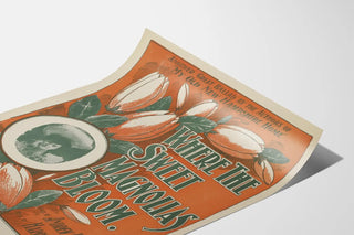 where-the-sweet-magnolias-bloom
