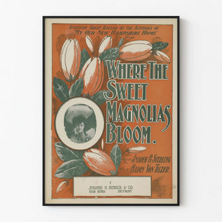 where-the-sweet-magnolias-bloom