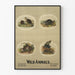 Vintage Wild Animals Poster - Beaver, Badger, Wild Cat, and Skunk
