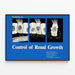 Poster Workshop for Renal Growth Control — framed artwork on a wall
